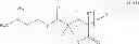 Fig. 29 - Terminally-functionalized conjugates and uses thereof