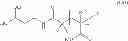 Fig. 31 - Terminally-functionalized conjugates and uses thereof