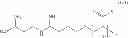 Fig. 35 - Terminally-functionalized conjugates and uses thereof
