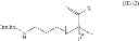 Fig. 54 - Terminally-functionalized conjugates and uses thereof
