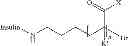 Fig. 55 - Terminally-functionalized conjugates and uses thereof