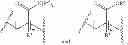 Fig. 57 - Terminally-functionalized conjugates and uses thereof