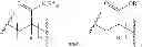 Fig. 67 - Terminally-functionalized conjugates and uses thereof