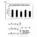 Fig. 02 - Repairing Bruch's membrane with hydrogels
