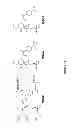 Fig. 02 - Induction of the mitochondrial permeability transition