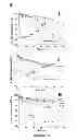 Fig. 03 - Induction of the mitochondrial permeability transition