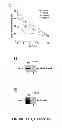 Fig. 04 - Induction of the mitochondrial permeability transition