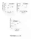 Fig. 08 - Induction of the mitochondrial permeability transition