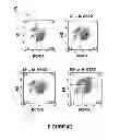 Fig. 09 - Induction of the mitochondrial permeability transition