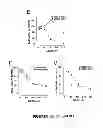 Fig. 11 - Induction of the mitochondrial permeability transition