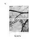Fig. 13 - Induction of the mitochondrial permeability transition