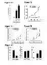 Fig. 14 - Induction of the mitochondrial permeability transition