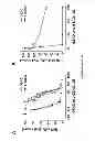 Fig. 27 - Induction of the mitochondrial permeability transition