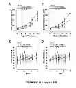 Fig. 30 - Induction of the mitochondrial permeability transition