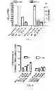 Fig. 03 - ANTAGONISTS OF TRPV1 RECEPTOR