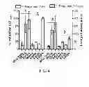 Fig. 04 - ANTAGONISTS OF TRPV1 RECEPTOR