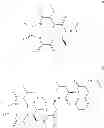 Fig. 08 - ANTAGONISTS OF TRPV1 RECEPTOR
