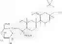Fig. 08 - Soyasapogenol composition