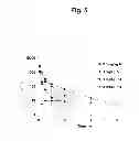 Fig. 06 - PROTEASOME INHIBITORS AND PROCESSES FOR THEIR PREPARATION, PURIFICATION AND USE