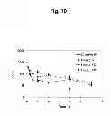 Fig. 11 - PROTEASOME INHIBITORS AND PROCESSES FOR THEIR PREPARATION, PURIFICATION AND USE