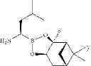 Fig. 22 - PROTEASOME INHIBITORS AND PROCESSES FOR THEIR PREPARATION, PURIFICATION AND USE
