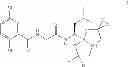 Fig. 33 - PROTEASOME INHIBITORS AND PROCESSES FOR THEIR PREPARATION, PURIFICATION AND USE
