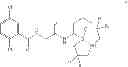 Fig. 48 - PROTEASOME INHIBITORS AND PROCESSES FOR THEIR PREPARATION, PURIFICATION AND USE