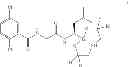 Fig. 49 - PROTEASOME INHIBITORS AND PROCESSES FOR THEIR PREPARATION, PURIFICATION AND USE