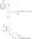 Fig. 35 - Compounds, Compositions and Methods for Treating Ocular Conditions