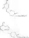Fig. 41 - Compounds, Compositions and Methods for Treating Ocular Conditions
