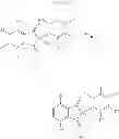 Fig. 06 - 1,3-di-oxo-indene derivative, pharmaceutically acceptable salt or optical isomer thereof, preparation method thereof, and pharmaceutical composition containing same as an antiviral, active ingredient