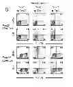 Fig. 41 - REGULATORY NETWORK FOR Th17 SPECIFICATION AND USES THEREOF