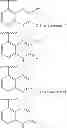 Fig. 08 - Pyrido[2,3-B]pyrazin-8-substituted compounds and their use