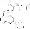 Fig. 201 - Pyrido[2,3-B]pyrazin-8-substituted compounds and their use