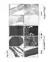 Fig. 07 - Materials and methods for suppressing and/or treating neurofibroma and related tumors