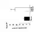 Fig. 22 - Materials and methods for suppressing and/or treating neurofibroma and related tumors