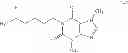 Fig. 08 - Substituted xanthine derivatives