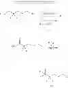 Fig. 35 - Substituted xanthine derivatives