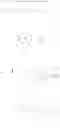 Fig. 46 - Substituted xanthine derivatives