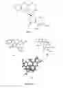 Fig. 02 - Synthesis and Characterization of Second Generation Benzofuranone Ring Substituted Noscapine Analogs