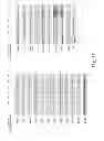 Fig. 05 - Method for Treating S6K-Overexpressing Cancers