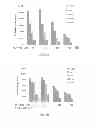 Fig. 10 - Method for Treating S6K-Overexpressing Cancers
