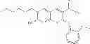 Fig. 28 - Compositions and Methods for Treating Myotonic Dystrophy Type 1