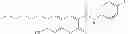 Fig. 43 - Compositions and Methods for Treating Myotonic Dystrophy Type 1