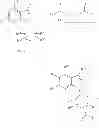 Fig. 09 - 1-substituted indazole derivative