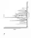 Fig. 02 - Anhydrous lenalidomide form-I