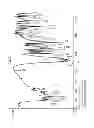 Fig. 09 - Anhydrous lenalidomide form-I