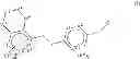 Fig. 04 - GPR120 RECEPTOR AGONISTS AND USES THEREOF