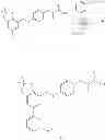 Fig. 191 - GPR120 RECEPTOR AGONISTS AND USES THEREOF