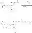 Fig. 231 - GPR120 RECEPTOR AGONISTS AND USES THEREOF